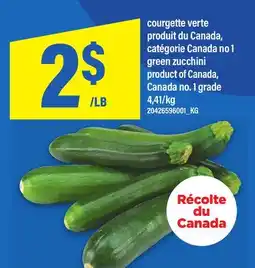 Maxi COURGETTE VERTE | green zucchini offer