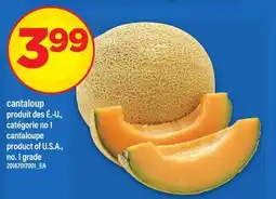 Maxi CANTALOUP | CANTALOUPE offer