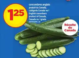 Maxi CONCOMBRES ANGLAIS | ENGLISH CUCUMBERS offer