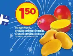 Maxi MANGUE ATAULFO offer