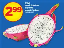 Maxi PITAYA | DRAGONFRUIT offer