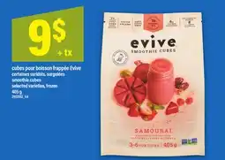 Maxi CUBES POUR BOISSON FRAPPÉE EVIVE | SMOOTHIE CUBES offer