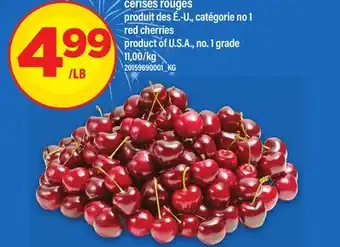 Maxi CERISES ROUGES | RED CHERRIES offer