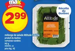 Maxi MÉLANGE DE SALADE ATTITUDE FRAÎCHE offer
