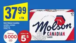 Maxi BIÈRE MOLSON CANADIAN offer