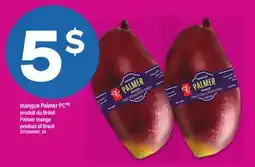 Maxi MANGUE PALMER PC | PALMER MANGO offer