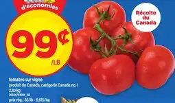Maxi TOMATES SUR VIGNE offer