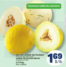 Marché Bonichoix CANARI OR PICASSO MELON offer