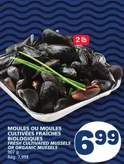 Marché Bonichoix FRESH CULTIVATED MUSSELS OR ORGANIC MUSSELS offer
