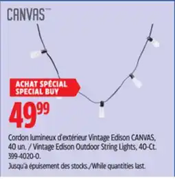 Canadian Tire Vintage Edison Outdoor String Lights, 40-Ct offer