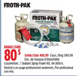 Canadian Tire Sealant Spray Foam Kit offer