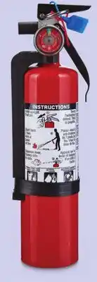 Canadian Tire General-Purpose Fire Extinguisher, 1A5BC/2-lb offer