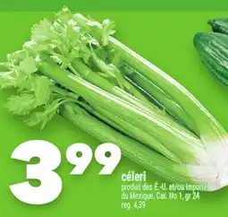 Marche Ami céleri offer