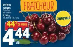 Marché Adonis CERISES ROUGES | RED CHERRIES offer