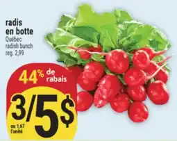 Marché Adonis RADIS EN BOTTE | RADISH BUNCH offer