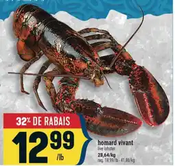 Marché Adonis HOMARD VIVANT | LIVE LOBSTER offer