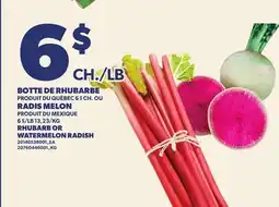 Provigo BOTTE DE RHUBARBE, RADIS MELON, RHUBARB OR WATERMELON RADISH offer