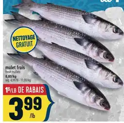 Marché Adonis MULET FRAIS | FRESH MULLETS offer