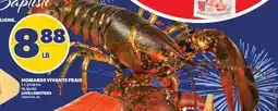 Provigo HOMARDS VIVANTS FRAIS, 1-1,25 LB CH. | LIVE LOBSTERS offer