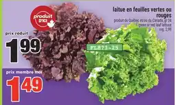 Super C laitue en feuilles vertes ou rouges | green or red leaf lettuce offer
