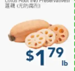 Oceans Fresh Food Market Lotus Root [NO Preservatives] offer