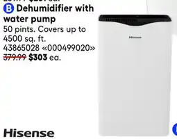 RONA HISENSE Dehumidifier with water pump offer