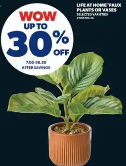 Real Canadian Superstore LIFE AT HOME FAUX PLANTS OR VASES offer