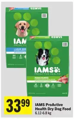 Foodland ProActive Health Dry Dog Food offer