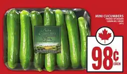 Food Basics MINI CUCUMBERS offer