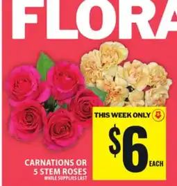 Food Basics CARNATIONS OR 5 STEM ROSES offer