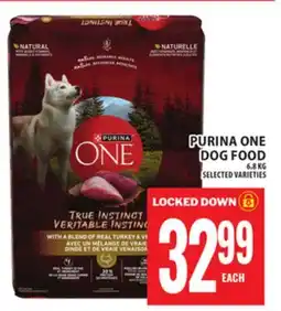Food Basics PURINA ONE DOG FOOD offer