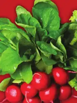 Food Basics BUNCH RADISHES OR GREEN OR RED LEAF LETTUCE offer