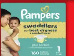 Food Basics PAMPERS SWADDLERS OR BABY DRY DIAPERS offer