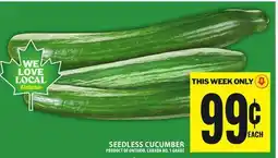 Food Basics SEEDLESS CUCUMBER offer