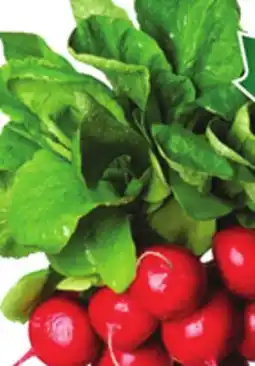 Food Basics BUNCH RADISH GREEN OR RED LEAF LETTUCE offer