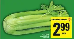 Food Basics CELERY offer