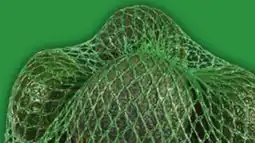 Food Basics AVOCADOS LIMES OR LIMES offer
