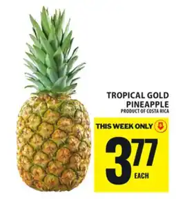 Food Basics TROPICAL GOLD PINEAPPLE offer