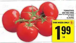 Food Basics TOMATOES ON THE VINE offer