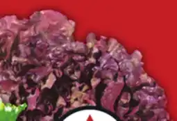 Food Basics BUNCH RADISHES GREEN OR RED LEAF LETTUCE offer