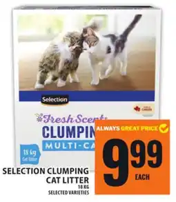 Food Basics SELECTION CLUMPING CAT LITTER offer