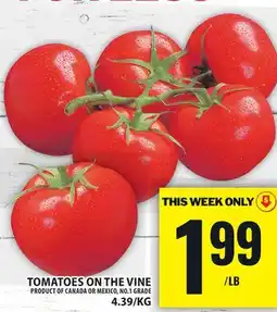 Food Basics TOMATOES ON THE VINE offer
