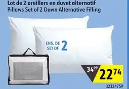 Sushi Shop Pillows Set of 2 Down Alternative Filling offer