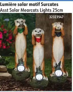 Sushi Shop Asst Solar Mearcats Lights 25cm offer