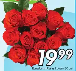 Sobeys Ecuadorian Roses offer