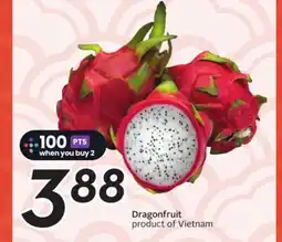 Sobeys Dragonfruit offer