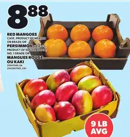 Independent Grocer RED MANGOES OR PERSIMMON CASE 6'S offer