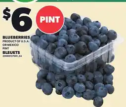Independent Grocer BLUEBERRIES offer