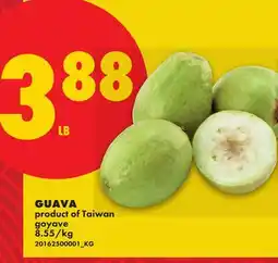 No Frills GUAVA offer