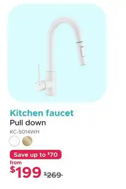 Bath Depot Kitchen faucet Pull down offer
